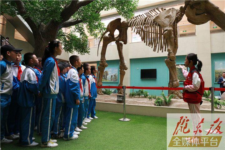 【第一眼】慶陽(yáng)市博物館開展多項(xiàng)活動(dòng)慶?！?·18國(guó)際博物館日”