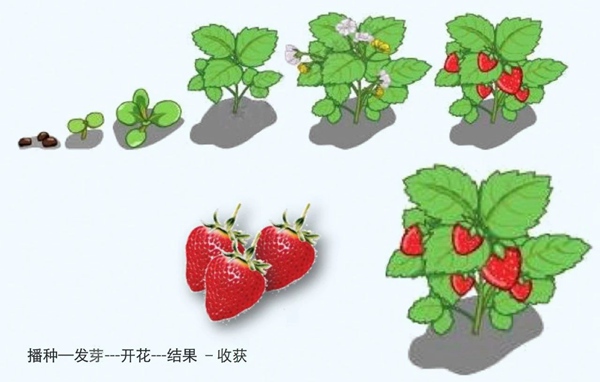 【防疫科普】如何利用園藝療法保持復(fù)工后身心健康？