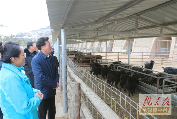 贠建民在鎮(zhèn)原縣督查脫貧攻堅等工作時強調 持續(xù)用力彌補短板鞏固提升脫貧成果 拉開架勢構建產業(yè)體系促進群眾增收