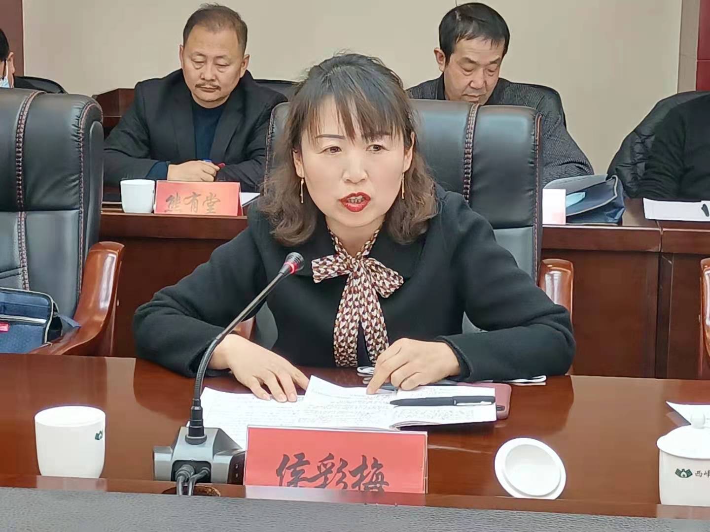 【代表委員建言】侯彩梅委員：進一步規(guī)范農村中小學體育教學