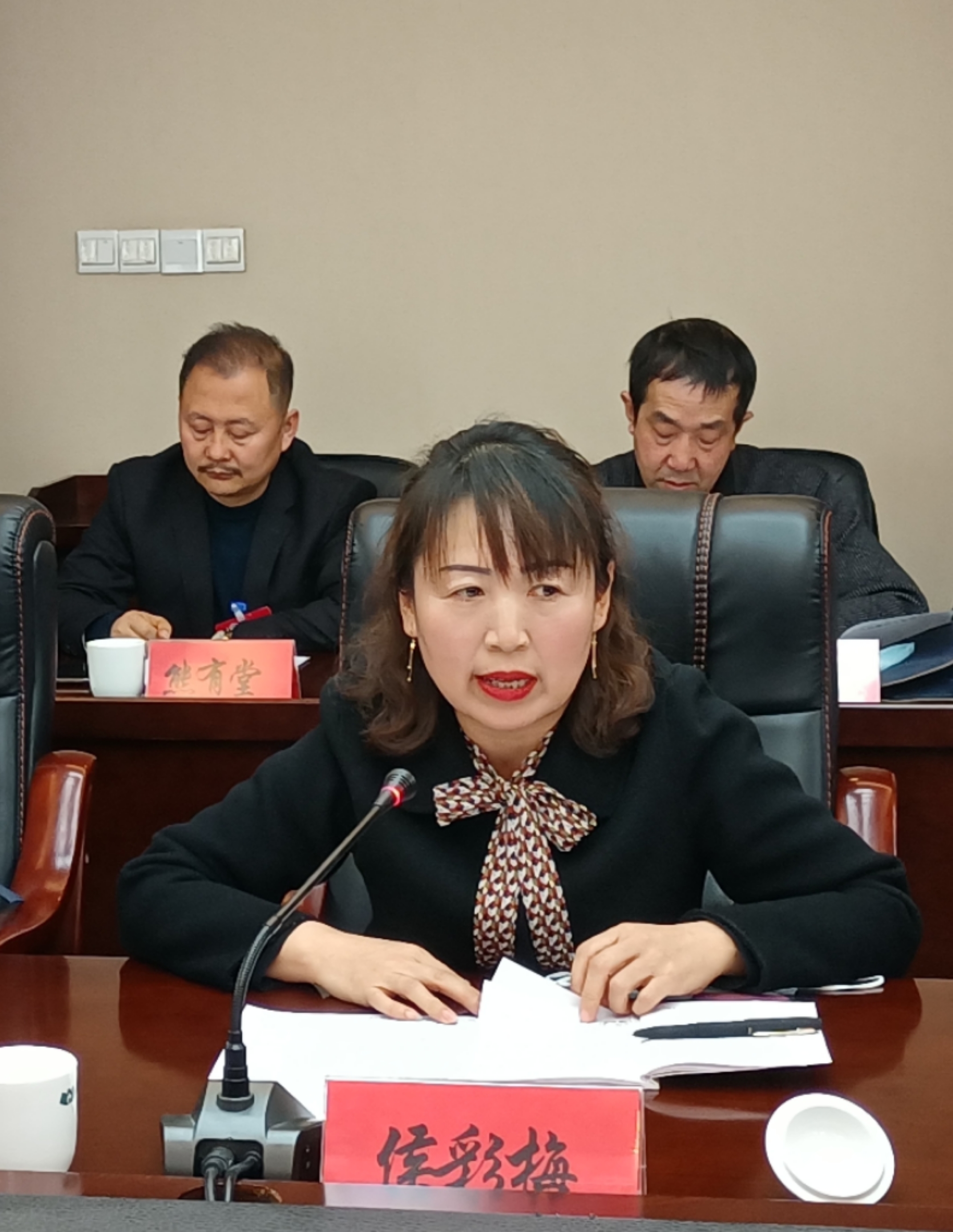 侯彩梅委員在討論發(fā)言時就規(guī)范農(nóng)村中小學體育教學提出了建議。