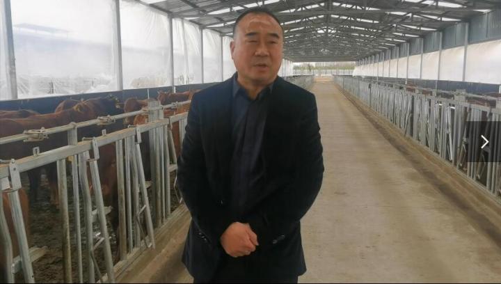 【脫貧攻堅(jiān)我來見證】項(xiàng)祖地：讓“早勝?！逼放谱叱龈拭C  走向全國