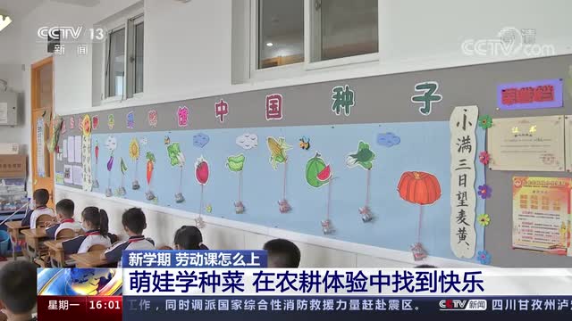 新學期，勞動課怎么上？央視《新聞直播間》關注北師大慶陽附校農耕體驗課