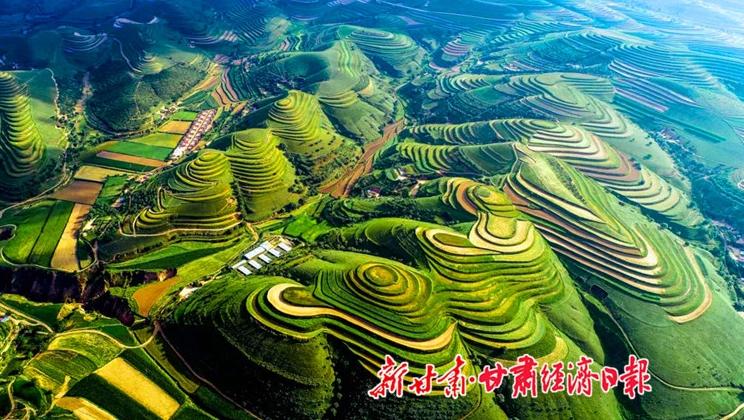 “羊”名立萬正當(dāng)時——環(huán)縣念羊經(jīng)、興羊業(yè)、發(fā)羊財促進(jìn)鄉(xiāng)村振興發(fā)展