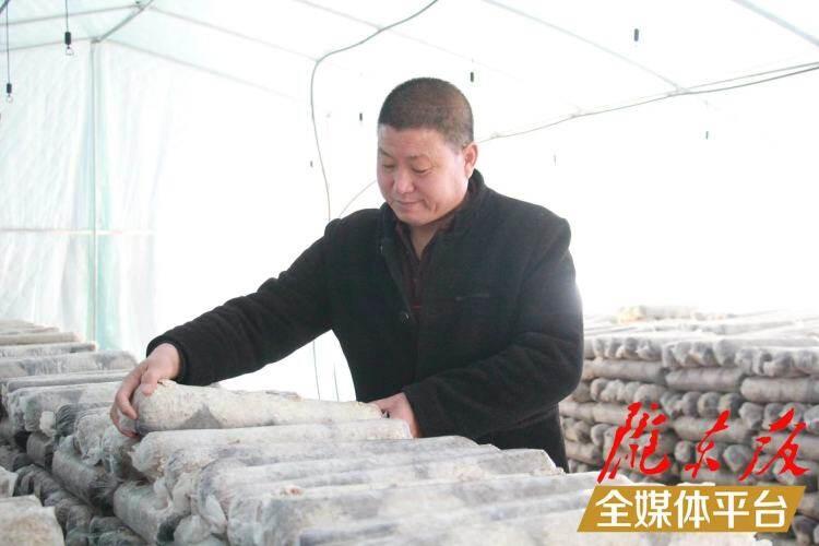 西峰區(qū)后官寨鎮(zhèn)司官寨村食用菌基地，工作人員在整理菌棒。本報記者 南力 攝