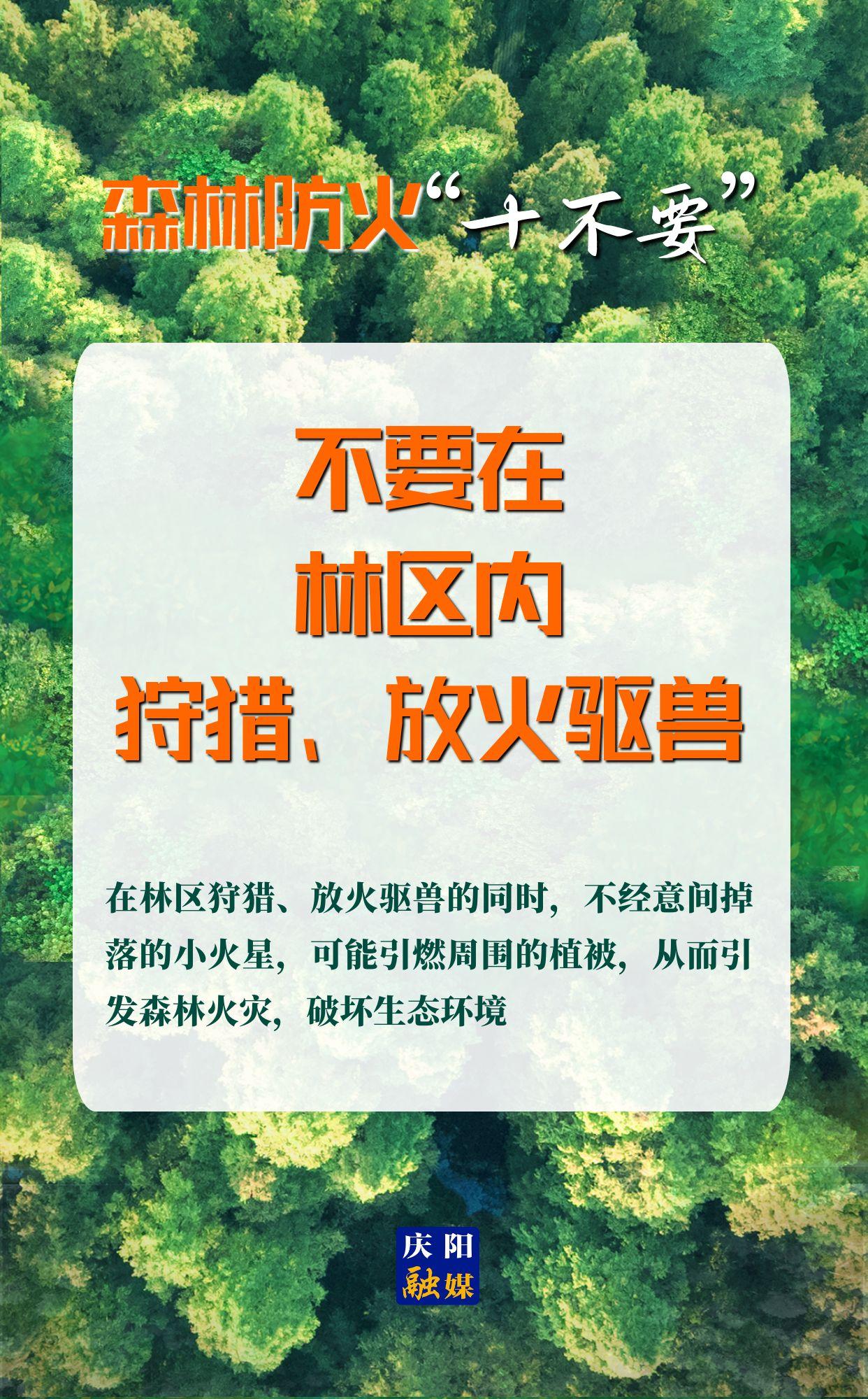 【微海報】森林防火“十不要”⑨丨不要在林區(qū)內(nèi)狩獵、放火驅(qū)獸