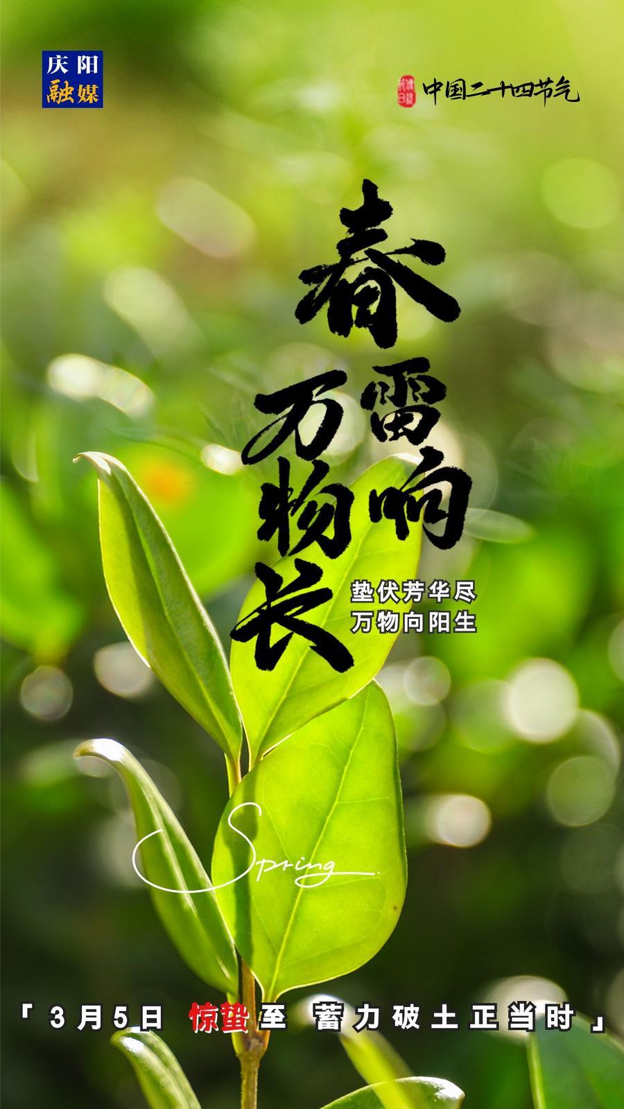 【微海報(bào)】二十四節(jié)氣丨驚蟄至，蓄力破土正當(dāng)時(shí)