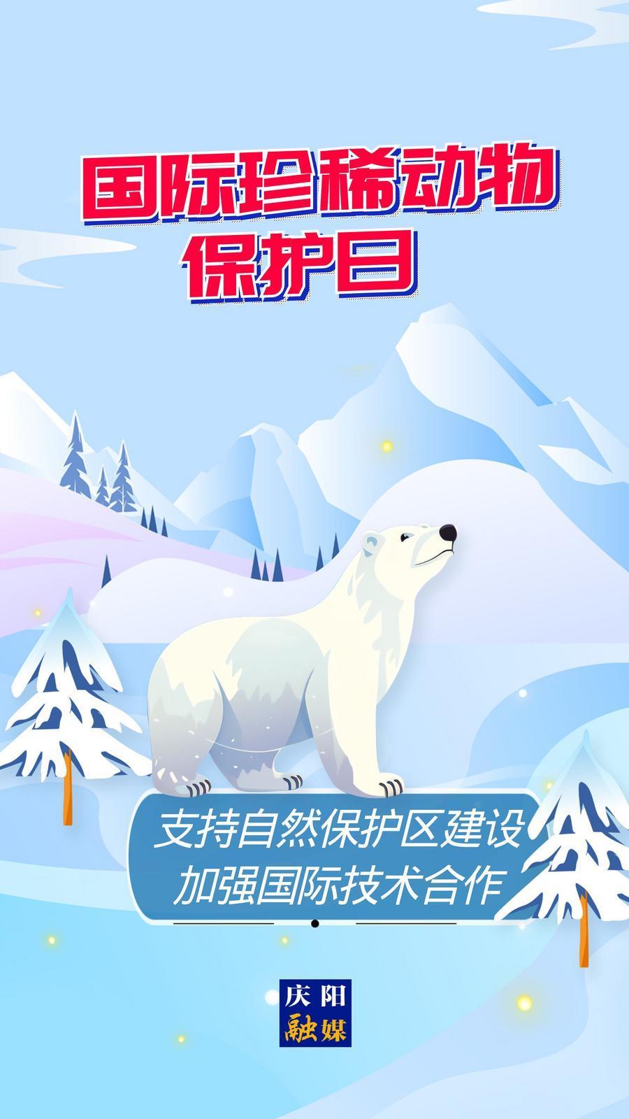 【微海報】國際珍稀動物保護(hù)日丨支持自然保護(hù)區(qū)建設(shè) 加強(qiáng)國際技術(shù)合作