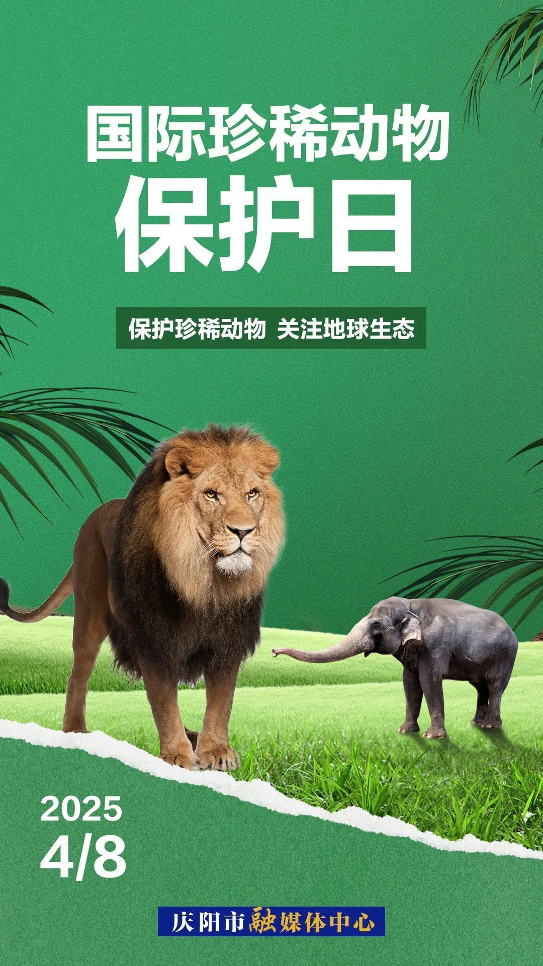 國際珍稀動物保護(hù)日丨因為“珍稀”所以“珍惜”