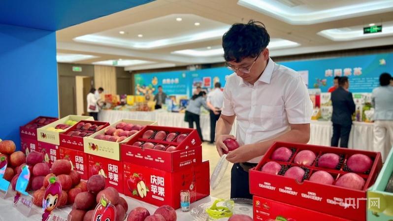 甘肅慶陽赴京拓市場(chǎng)：黃土塬“甘味”端上首都餐桌