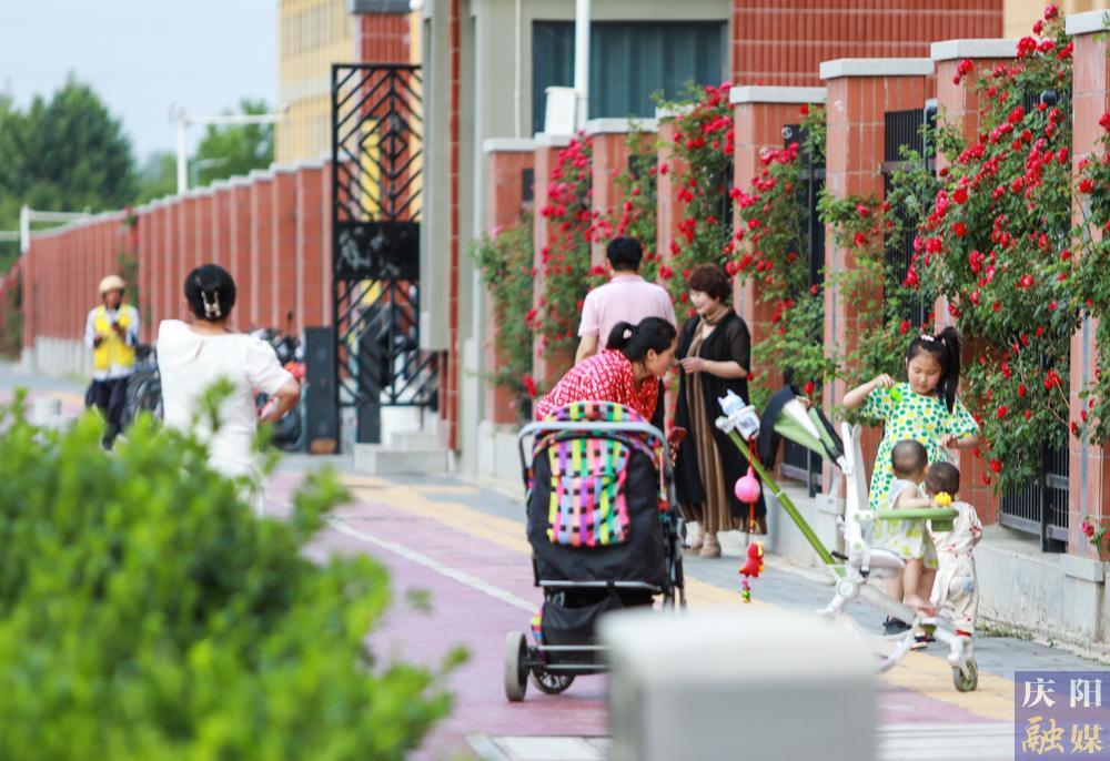 【攝影報道】薔薇花開！邂逅夏日的浪漫