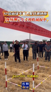 【V視】12位省級(jí)專家在鎮(zhèn)原現(xiàn)場測(cè)定小麥機(jī)收減損率