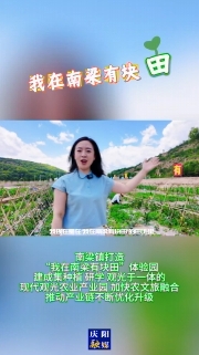 南梁鎮(zhèn)打造“我在南梁有塊田”體驗園，建成集種植、研學、觀光于一體的現(xiàn)代觀光農(nóng)業(yè)產(chǎn)業(yè)園，加快農(nóng)文旅融合，推動產(chǎn)業(yè)鏈不斷優(yōu)化升級